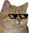 :chatcool: chatcool