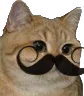 chatmoustache