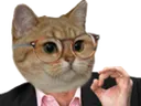 chatperfect