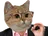 :chatperfect: chatperfect