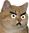 :chatfurieux: chatfurieux