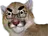 :cassifurieux: cassifurieux