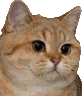 chatlaser