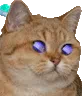 chatfutur