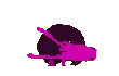 lizpinkdance lizpinkdance