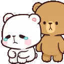 bearcryheadpat