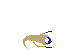 overseerwave overseerwave