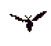batfly