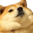 bruh