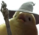 birbwise