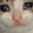 kaleighCry kaleighCry