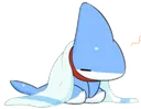 sleepyshark
