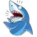 wtfshark