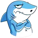 notokayshark