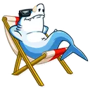 chillshark