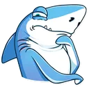 hmmmshark