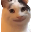 gatonana