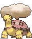 torkoalshiny