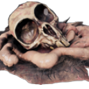 rip Discord emoji