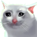 sadcat