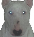 FUGLYdoggo Discord emoji