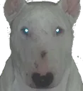 FUGLYdoggo