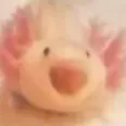 D_