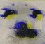 sealGlitched