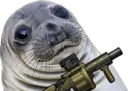 sealshoot