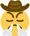 cowboyTriumph
