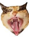 catREE