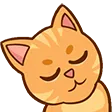 nitaSLEEP
