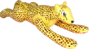 IWCheetah