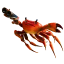 crabjump