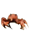 crab_4