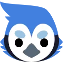 bluejay_stare