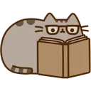 pusheenbook