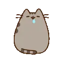 PusheenDrool