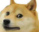 dogecringe