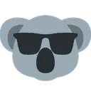 cool_koala cool_koala