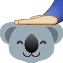 patting_koala
