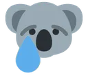 sad_koala