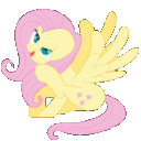 fluttercat