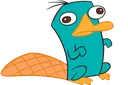 perry