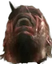 NUCLEAAAR