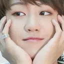 haocute haocute