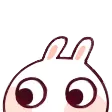 BunnyPeek
