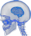 smallbrain