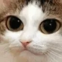 3_