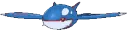 kyogre